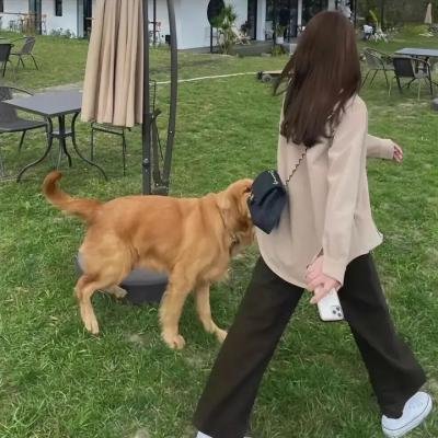 劲爆战士第一季